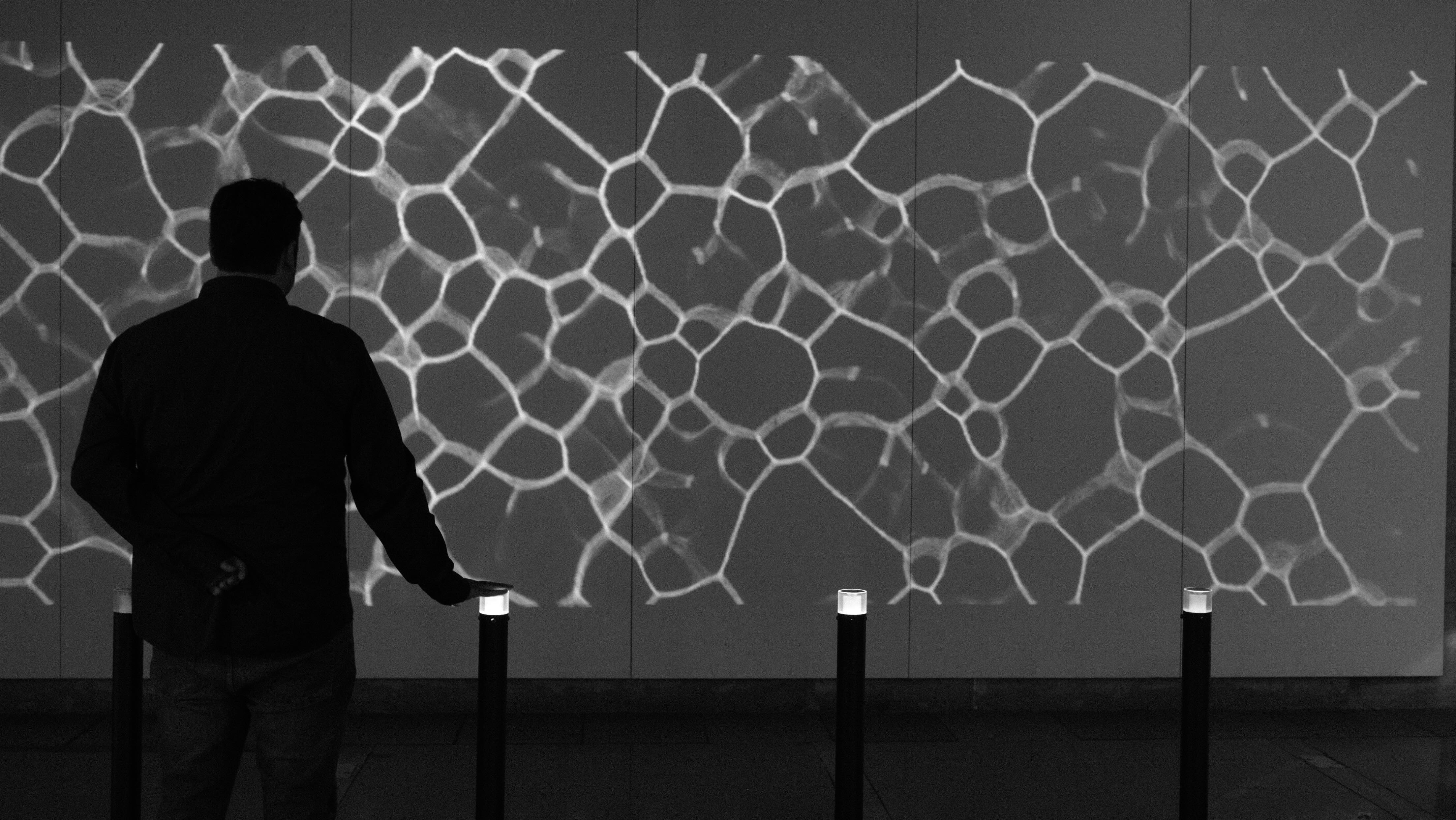 Noise Observer from close